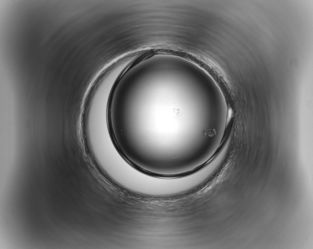 X0000096710880200802051419