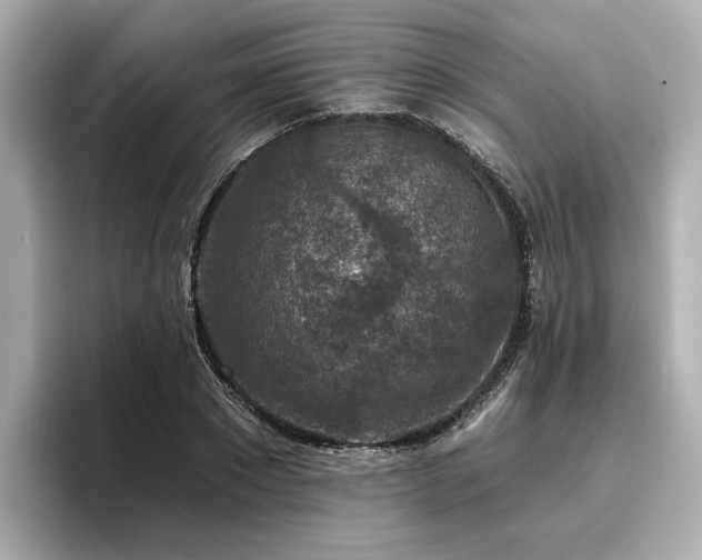 X0000096710881200802051419