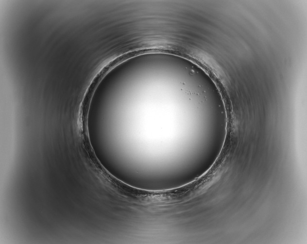 X0000096710883200802051419