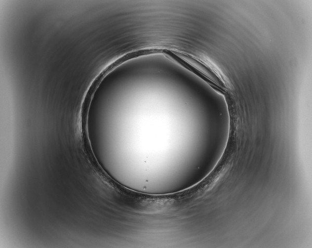 X0000096710884200802051419