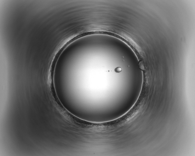 X0000096710885200802051419