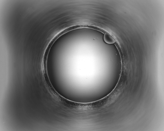 X0000096710887200802051419