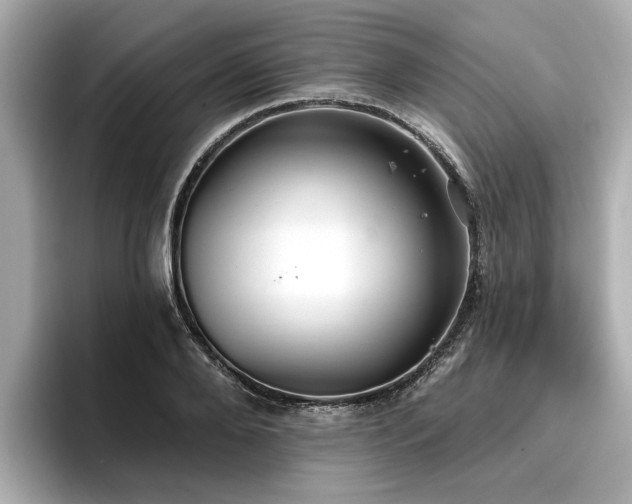 X0000096710888200802051419