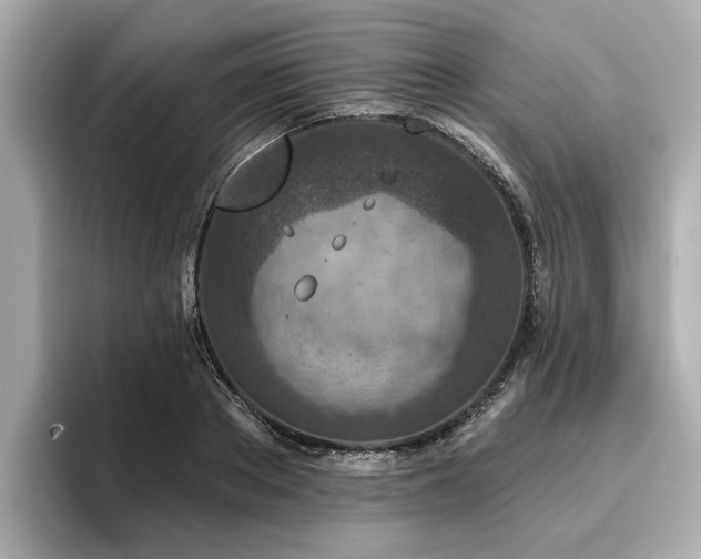 X0000096710889200802051419