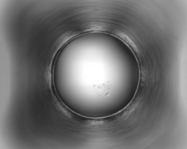 X0000096710890200802051419