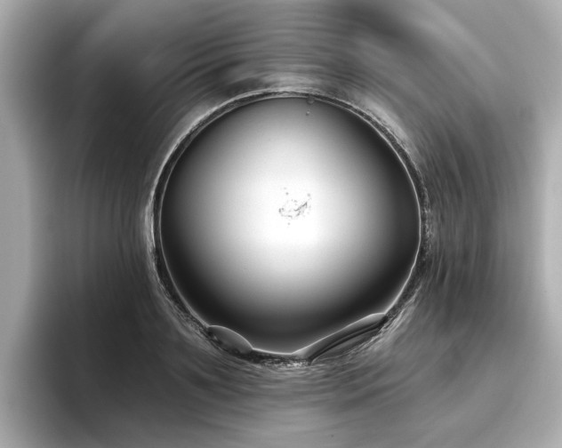 X0000096710891200802051419