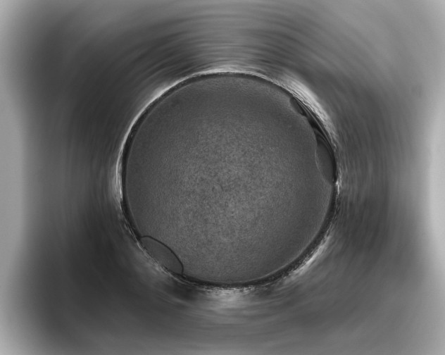 X0000096710892200802051419