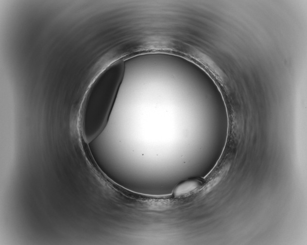 X0000096710893200802051419