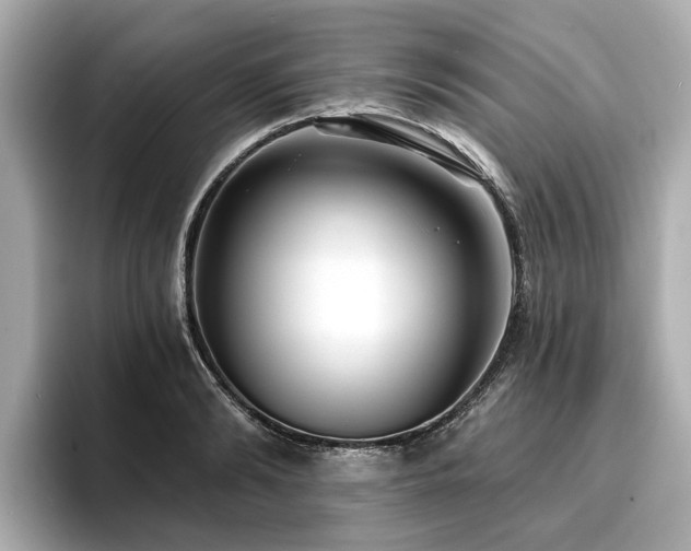 X0000096710894200802051419