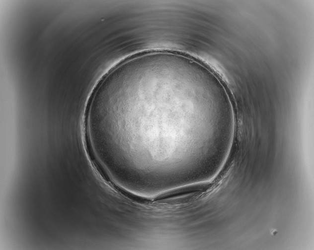 X0000096710895200802051419