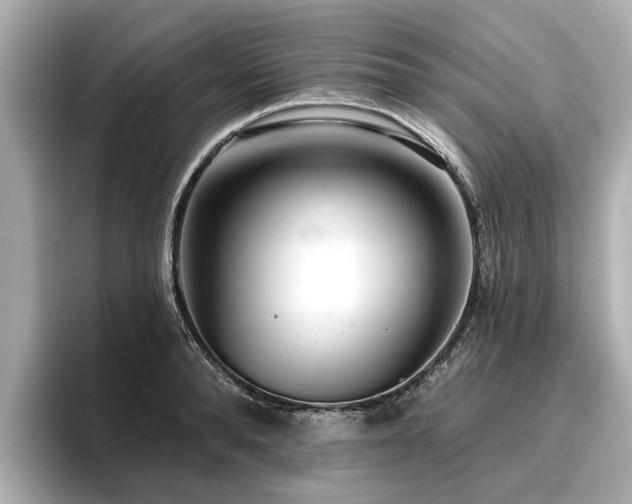 X0000096710896200802051419