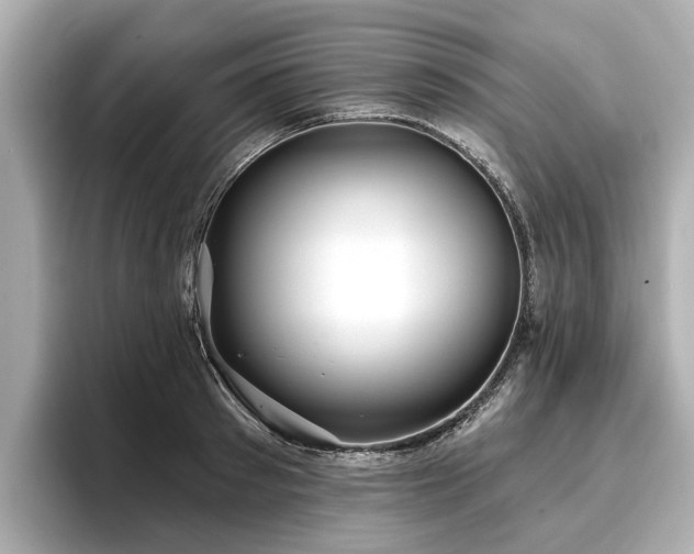 X0000096710897200802051419