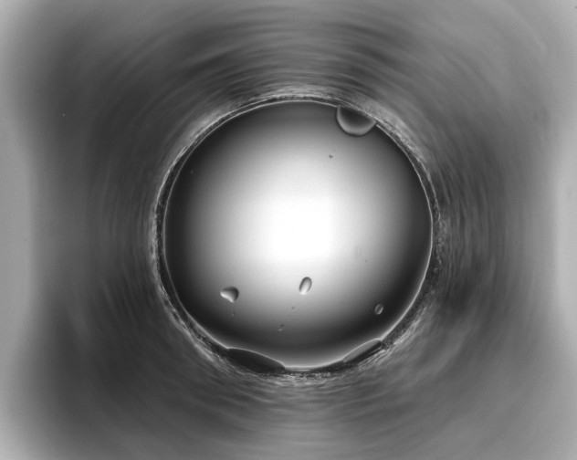 X0000096710898200802051419