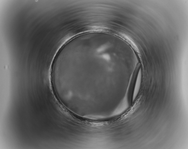 X0000096710899200802051419