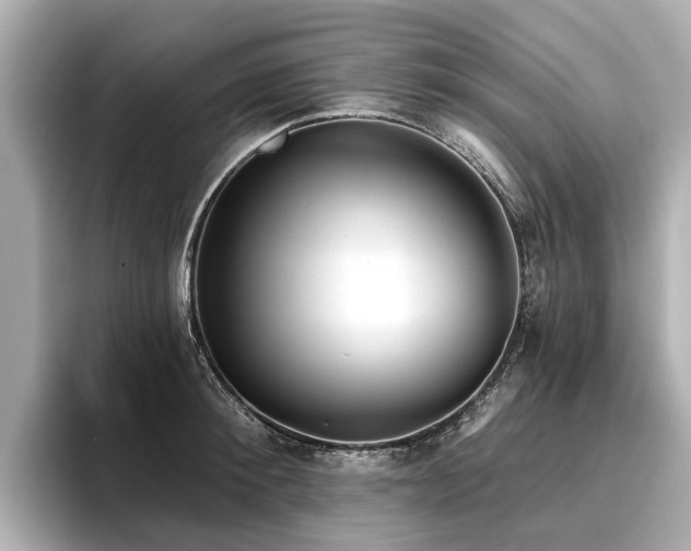 X0000096710900200802051419