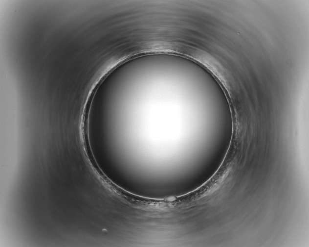 X0000096710901200802051419