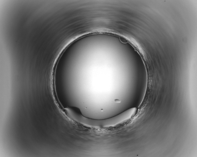 X0000096710903200802051419