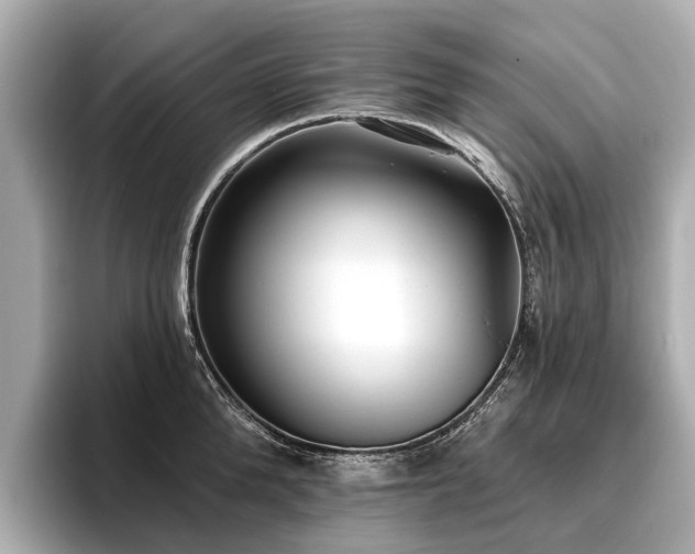 X0000096710904200802051419