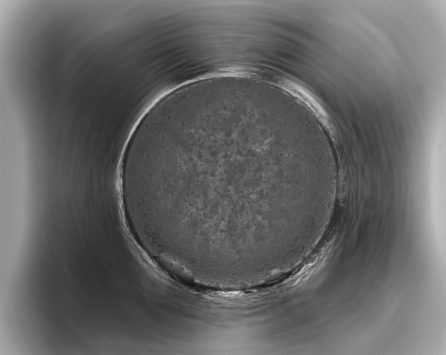 X0000096710907200802051419