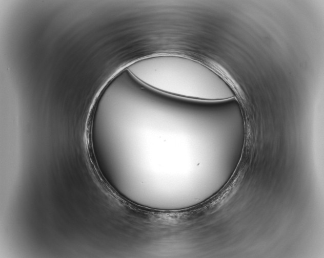 X0000096710908200802051419