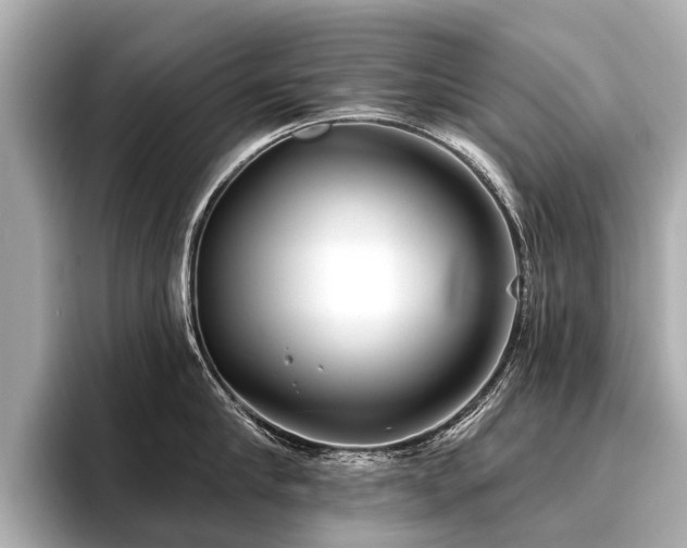 X0000096710910200802051419