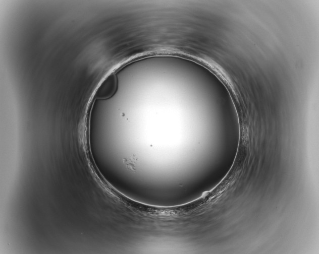 X0000096710911200802051419