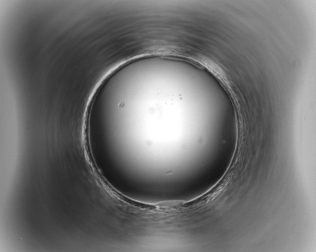 X0000096710912200802051419