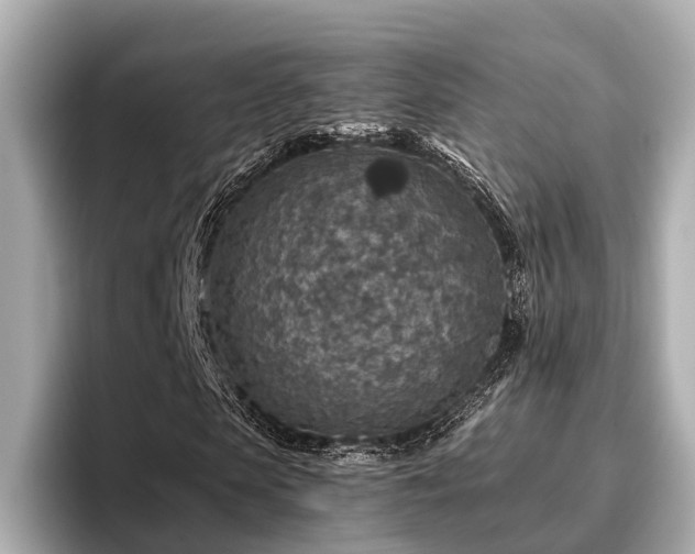 X0000096710913200802051418