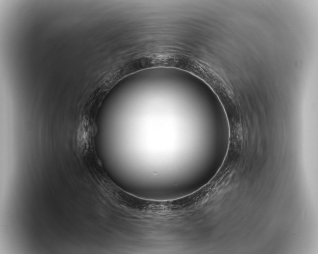 X0000096710914200802051418