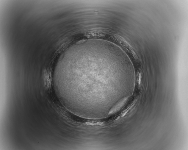 X0000096710915200802051418