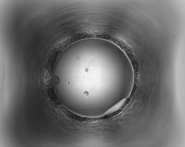 X0000096710917200802051418