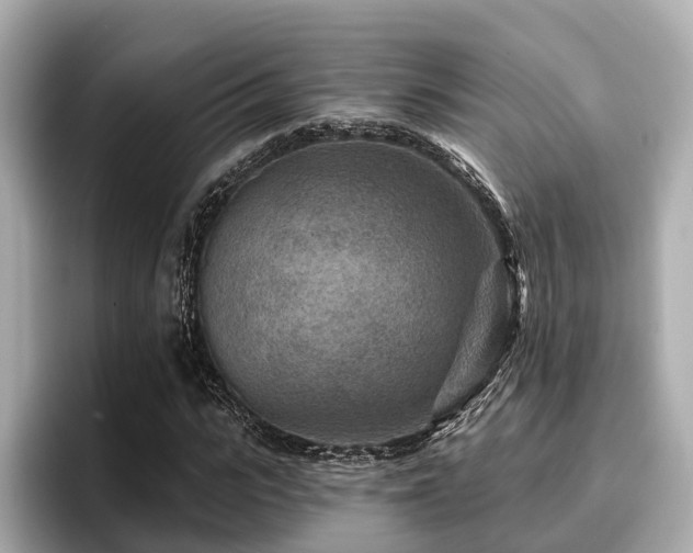 X0000096710919200802051418