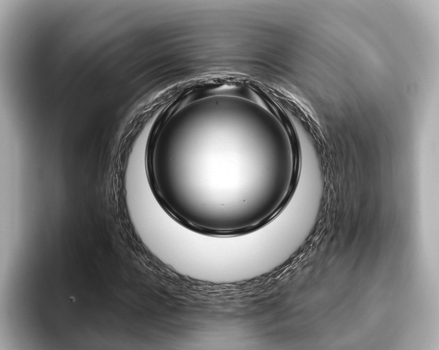 X0000096710920200802051418