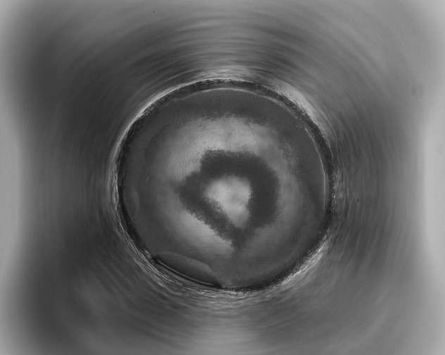 X0000096710923200802051418