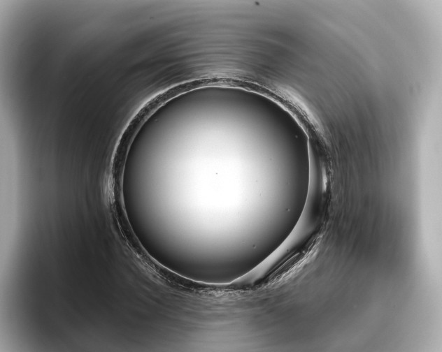 X0000096710924200802051418