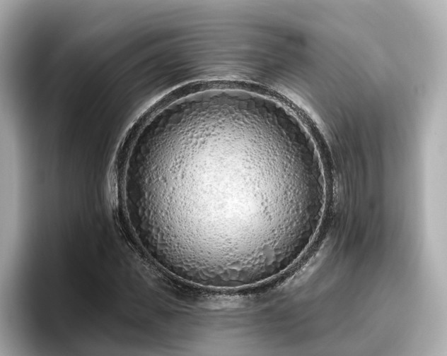 X0000096710925200802051418