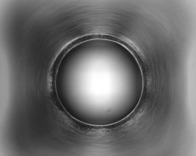 X0000096710926200802051418