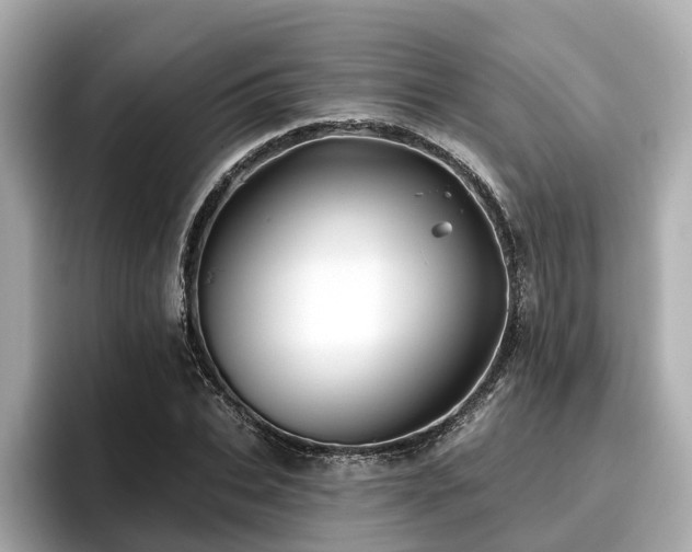 X0000096710927200802051418