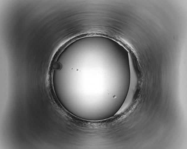 X0000096710928200802051418