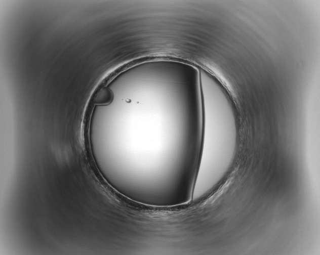 X0000096710932200802051418