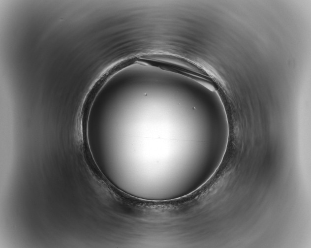 X0000096710934200802051418