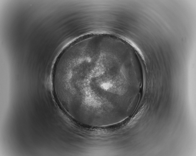 X0000096710935200802051418