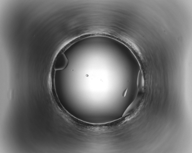 X0000096710936200802051418