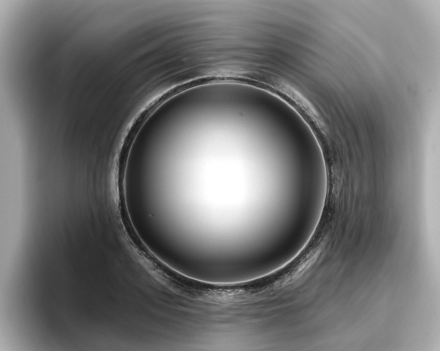 X0000096710939200802051418