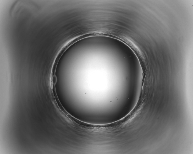 X0000096710940200802051418