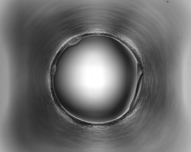 X0000096710942200802051418