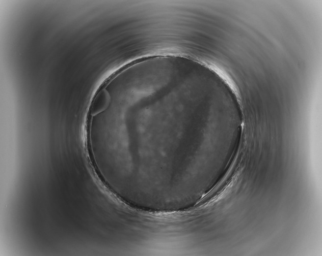 X0000096710944200802051418