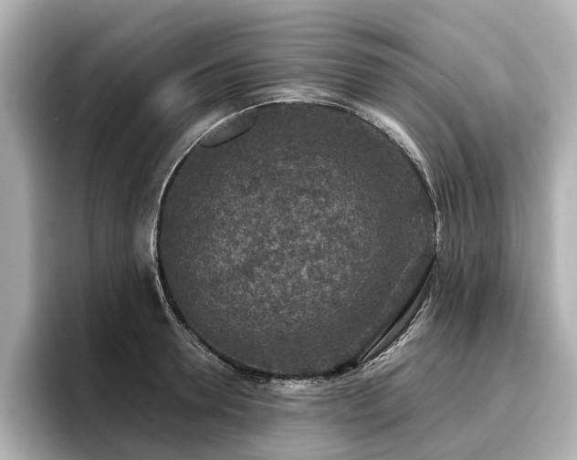 X0000096710946200802051418