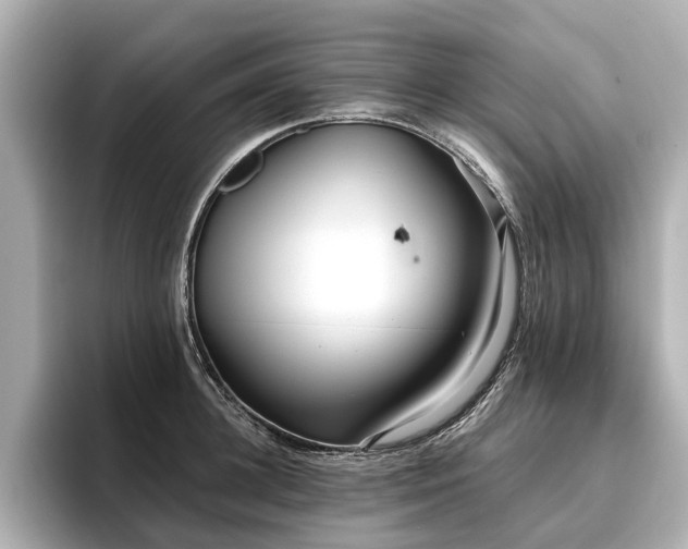 X0000096710948200802051418