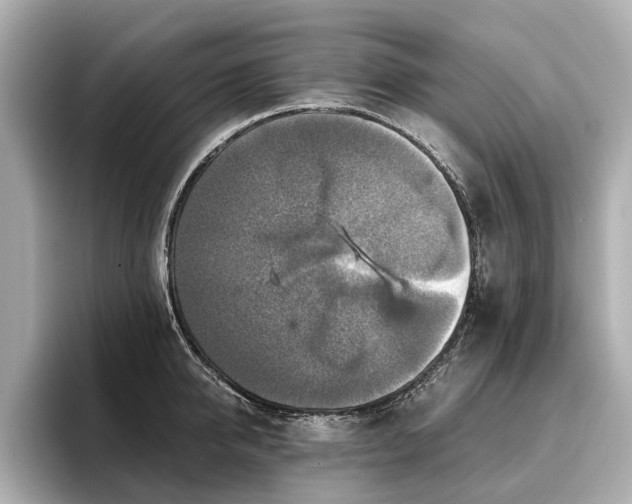 X0000096710950200802051418